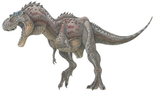 dinozaury 2 - 300_lio_albertosaurus.jpg