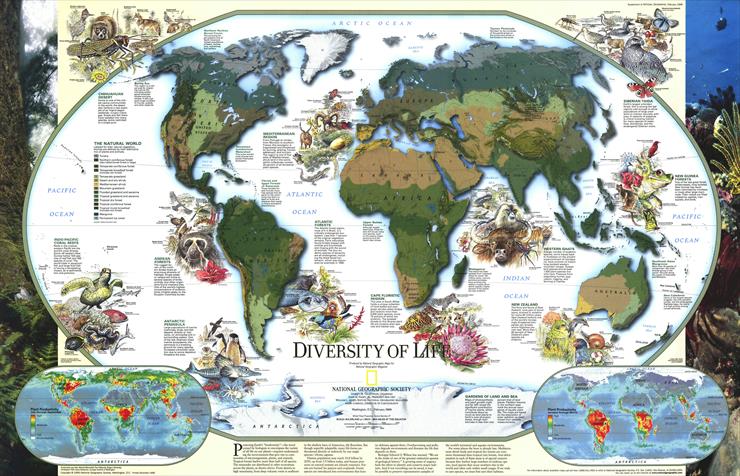 Mapy National Geographic. 539 map. Wysoka jakość - World Map - Diversity of Life 1999.jpg